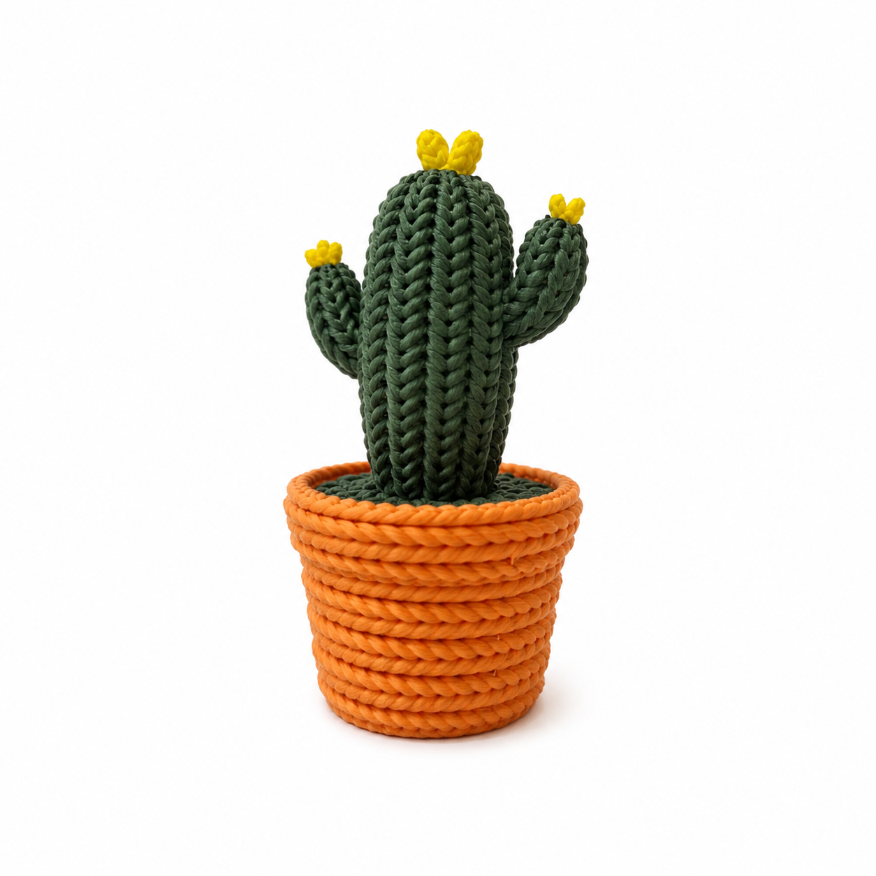 3D Figurine - Cactus