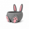 3D Bowl - Bunny