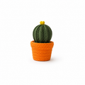 3D Figurine – Cactus