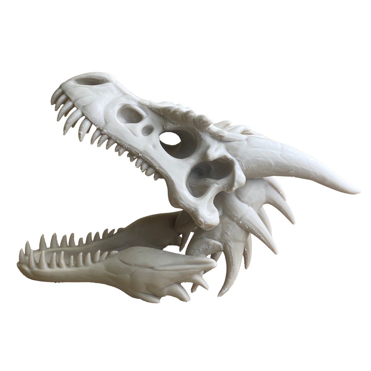 Dragon Skull - Decorative 3D Figure