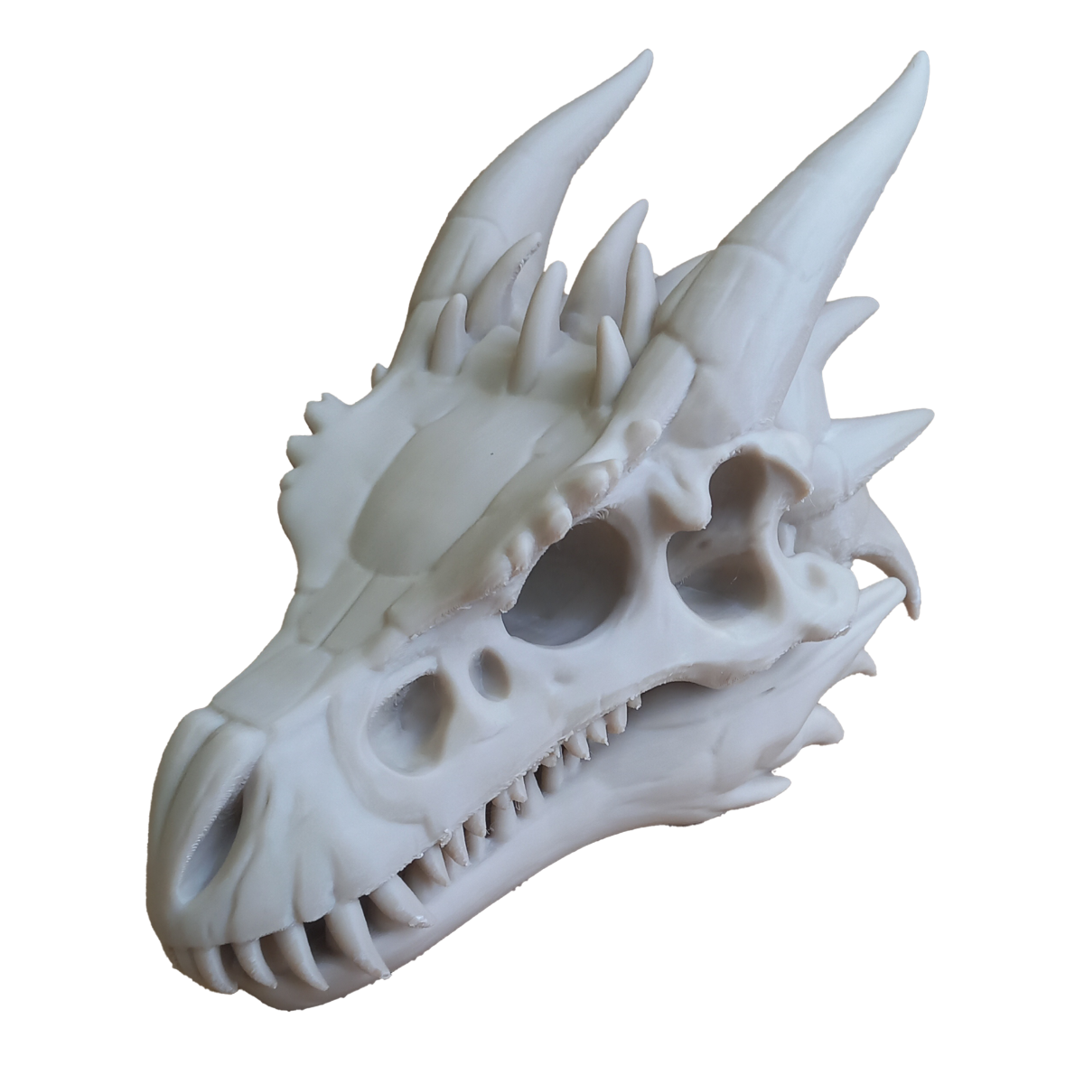 Dragon Skull - Decorative 3D Figure