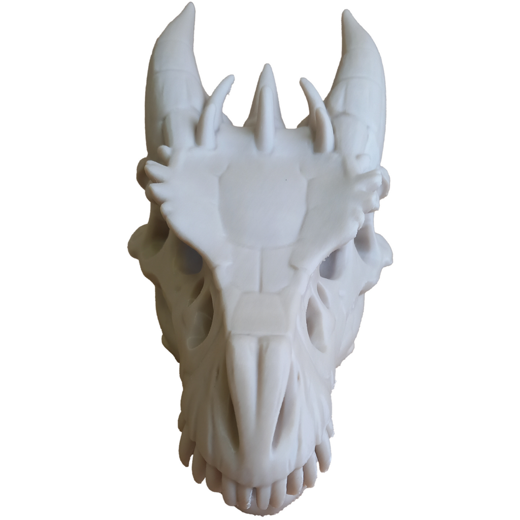 Dragon Skull - Decorative 3D Figure