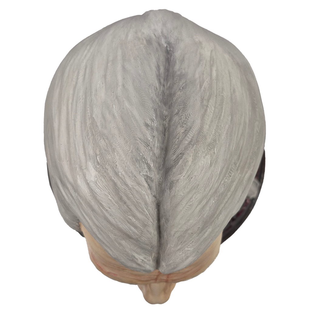 Geralt's Head Statuette/Headphone Holder - 3D Printing