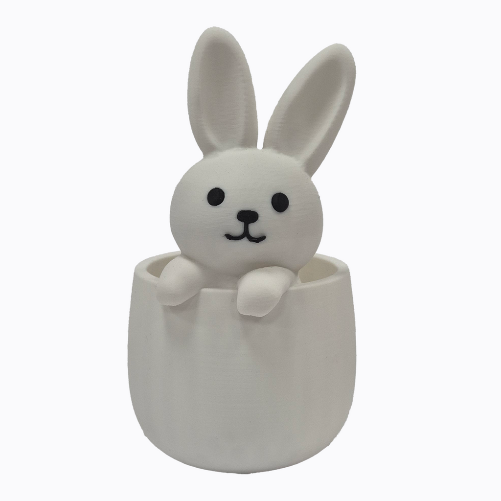 Rabbit in a Pot - 3D Casing
