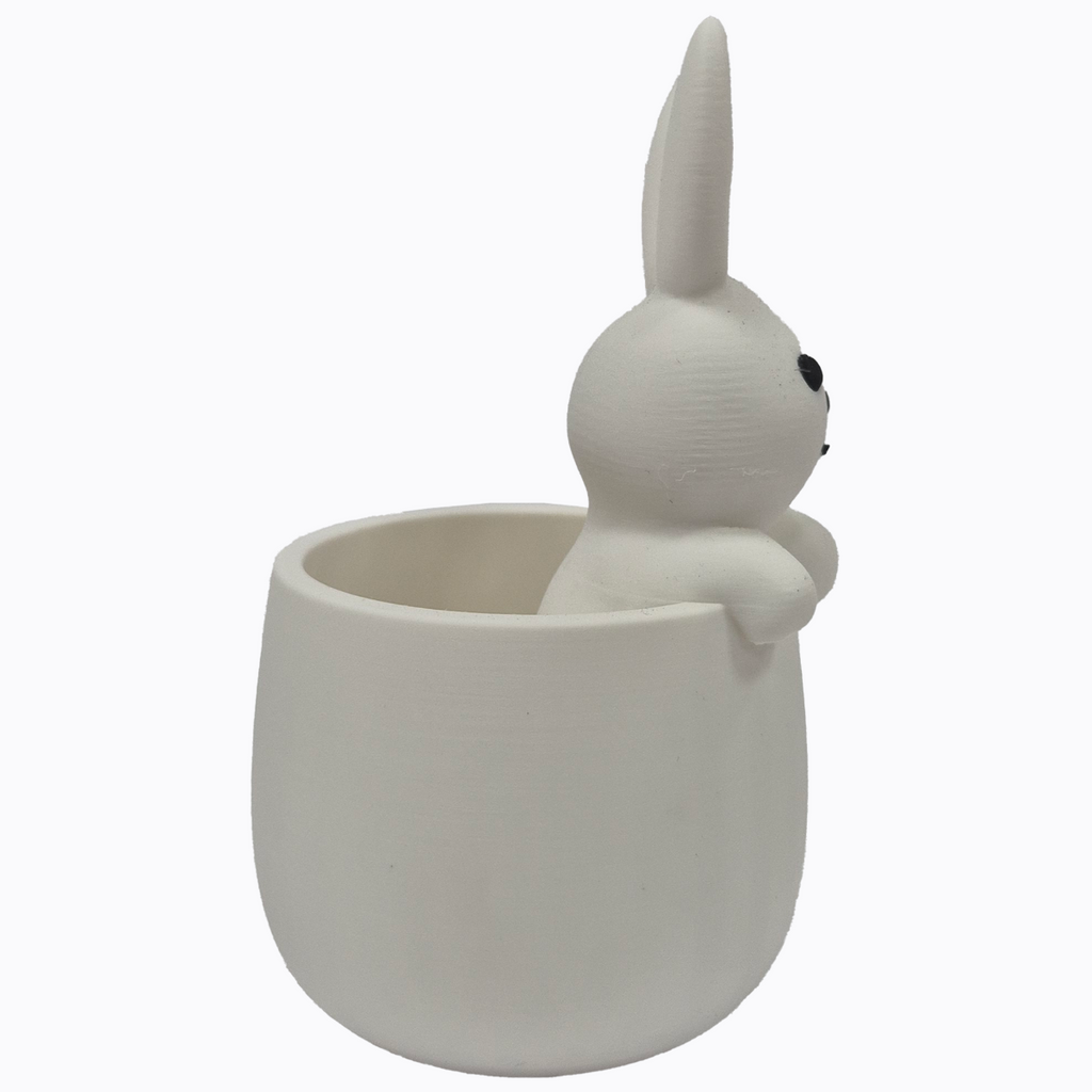 Rabbit in a Pot - 3D Casing