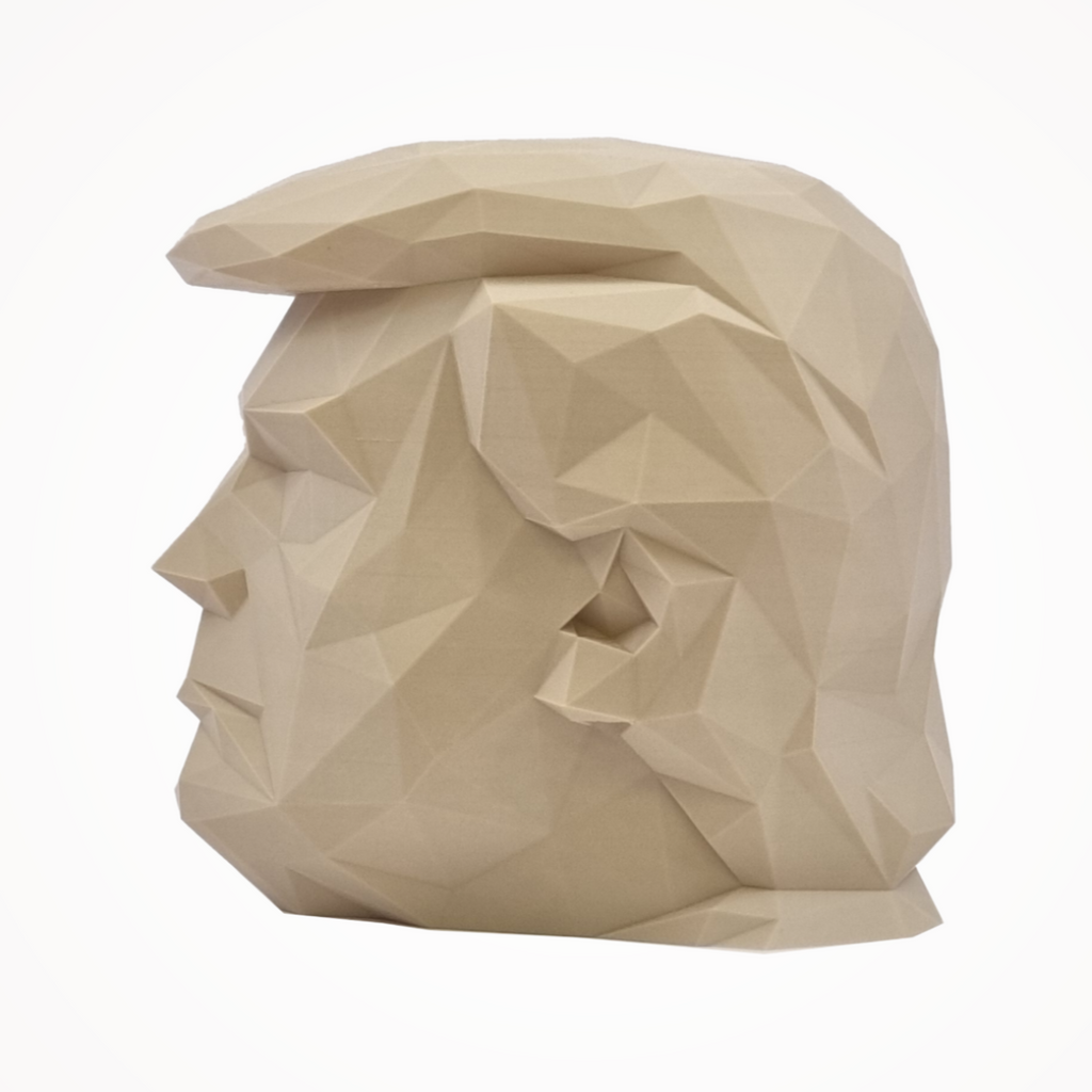 Donald Trump's Angular Head - 3D Figure