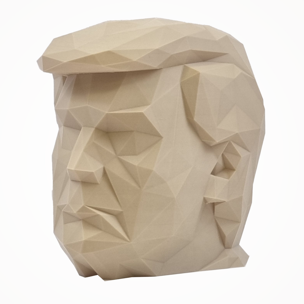 Donald Trump's Angular Head - 3D Figure