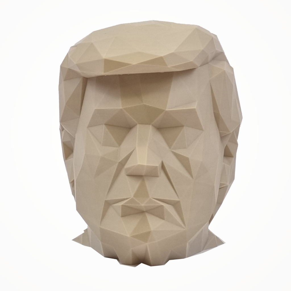 Donald Trump's Angular Head - 3D Figure
